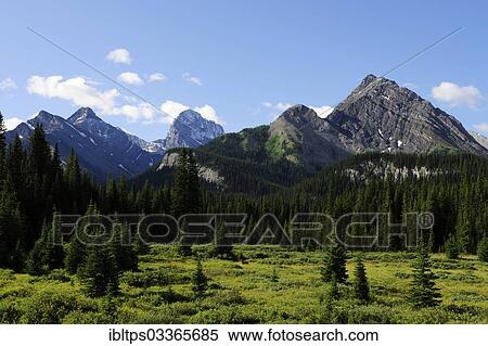 "Mountains of the eastern foothills of the Rocky Mountains, in Kananaski Country, Alberta, Canada, Kananaskis Country, Canmore, Alberta Province, Canada, North America" View Large Photo Image Stock Photography - "Mountains of the eastern foothills of the Rocky Mountains, in Kananaski Country, Alberta, Canada, Kananaskis Country, Canmore, Alberta Province, Canada, North America". Fotosearch