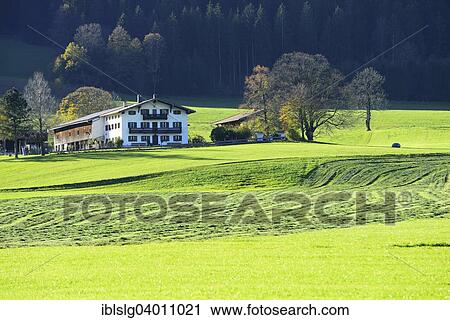 "Mowed lawn, haymaking, autumn cut, farmhouse in the back, Leitzachtal, Bavaria, Germany, Europe" View Large Photo Image Stock Image - "Mowed lawn, haymaking, autumn cut, farmhouse in the back, Leitzachtal, Bavaria, Germany, Europe". Fotosearch