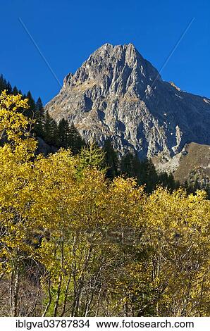 "Mt Aiguille de Loriaz in autumn, Aiguilles Rouges, Haute-Savoie, France, Europe" View Large Photo Image Picture - "Mt Aiguille de Loriaz in autumn, Aiguilles Rouges, Haute-Savoie, France, Europe". Fotosearch