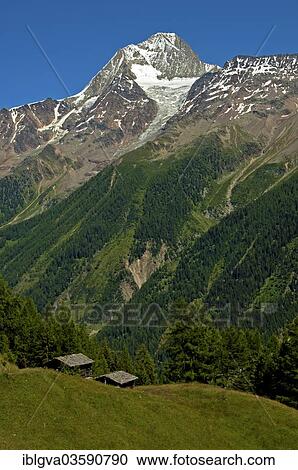 "Mt Bietschhorn rising above the forest line, Lotschental, Canton of Valais, Switzerland, Europe" View Large Photo Image Stock Image - "Mt Bietschhorn rising above the forest line, Lotschental, Canton of Valais, Switzerland, Europe". Fotosearch