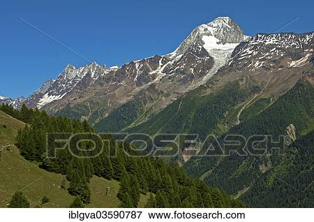 Stock Photo - "Mt Bietschhorn rising above the forest line, Lotschental, Canton of Valais, Switzerland, Europe". Fotosearch