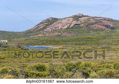 "Mt Boulder, Cape Le Grand National Park, Esperance, Western Australia, Australia, Oceania" View Large Photo Image Stock Photo - "Mt Boulder, Cape Le Grand National Park, Esperance, Western Australia, Australia, Oceania". Fotosearch