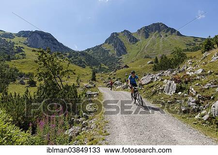 "Mt Croda Rossa or Rotwand and Grosstiefental alpine pasture, Bayrischzell, Mangfall mountains, Upper Bavaria, Bavaria, Germany, Europe" View Large Photo Image Stock Image - "Mt Croda Rossa or Rotwand and Grosstiefental alpine pasture, Bayrischzell, Mangfall mountains, Upper Bavaria, Bavaria, Germany, Europe". Fotosearch