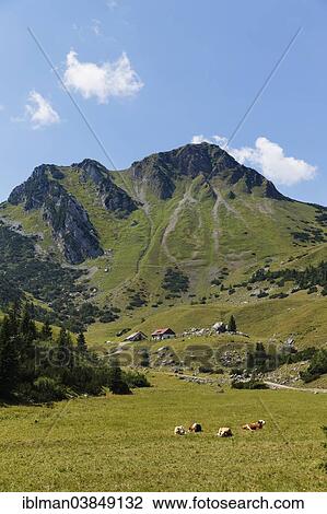 Stock Image - "Mt Croda Rossa or Rotwand and the Grosstiefental alpine pasture, Bayrischzell, Mangfall mountains, Upper Bavaria, Bavaria, Germany, Europe". Fotosearch