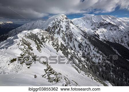 "Mt Grosser Wildkamm, centre, and Mt Hohe Veitsch, right, from Mt Kleiner Wildkamm, Niederalpl, Murzsteg Alps, Styria, Austria, Europe" View Large Photo Image Stock Image - "Mt Grosser Wildkamm, centre, and Mt Hohe Veitsch, right, from Mt Kleiner Wildkamm, Niederalpl, Murzsteg Alps, Styria, Austria, Europe". Fotosearch