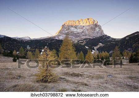 "Mt Langkofel or Sasso Lungo from the Gardena Pass road, in autumn, Dolomites, South Tyrol, Alto Adige, Italy, Europe" View Large Photo Image Stock Image - "Mt Langkofel or Sasso Lungo from the Gardena Pass road, in autumn, Dolomites, South Tyrol, Alto Adige, Italy, Europe". Fotosearch