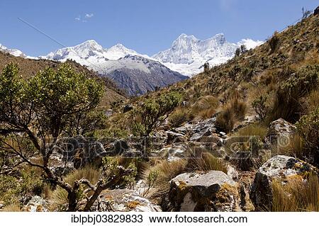 Stock Image - "Mt Nevado Chopicalqui, Cordillera Blanca, Quebrada Yurac, Peru, South America". Fotosearch