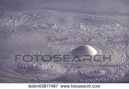 "Mud bubble in the Sol de Manana geothermal field, Andina Eduardo Abaro National Park, Altiplano, Potosi, Bolivia, South America" View Large Photo Image Stock Photo - "Mud bubble in the Sol de Manana geothermal field, Andina Eduardo Abaro National Park, Altiplano, Potosi, Bolivia, South America". Fotosearch