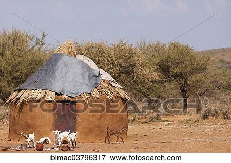 "Mud hut of the Himba, Kaokoland, Namibia, Africa" View Large Photo Image Stock Photo - "Mud hut of the Himba, Kaokoland, Namibia, Africa". Fotosearch