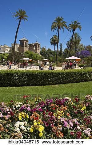 "Mudejar Pavilion in the Maria Luisa Park, Seville, Andalucia, Spain, Europe" View Large Photo Image Stock Photography - "Mudejar Pavilion in the Maria Luisa Park, Seville, Andalucia, Spain, Europe". Fotosearch
