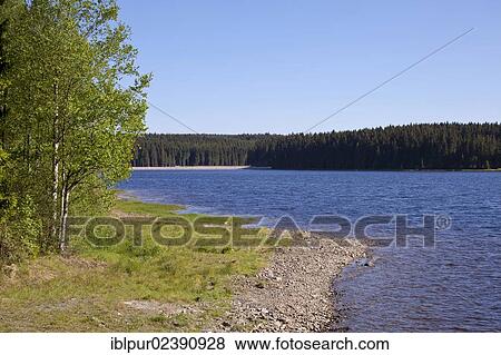 "Muldenberg Dam, reservoir, Vogtland region, Saxony, Germany, Europe" View Large Photo Image Stock Photo - "Muldenberg Dam, reservoir, Vogtland region, Saxony, Germany, Europe". Fotosearch