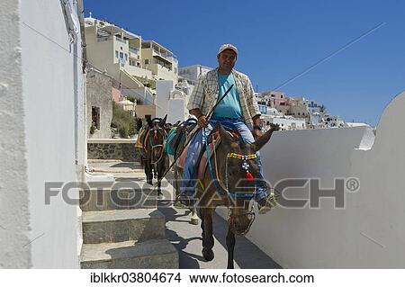 "Muleteers, Thira, Santorini, Cyclades, Greece, Europe" View Large Photo Image Picture - "Muleteers, Thira, Santorini, Cyclades, Greece, Europe". Fotosearch