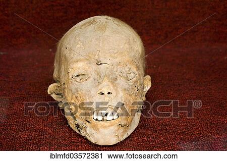 "Mummy in the Mummies' Museum, Guanajuato, Mexico, North America" View Large Photo Image Stock Image - "Mummy in the Mummies' Museum, Guanajuato, Mexico, North America". Fotosearch