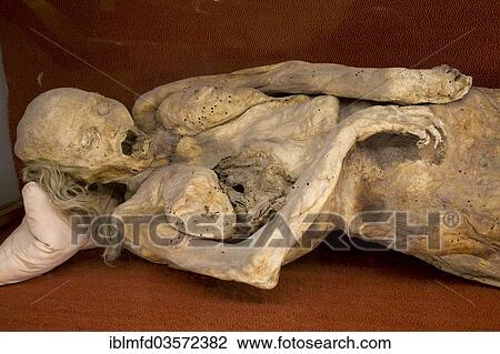 "Mummy in the Mummies' Museum, Guanajuato, Mexico, North America" View Large Photo Image Stock Image - "Mummy in the Mummies' Museum, Guanajuato, Mexico, North America". Fotosearch