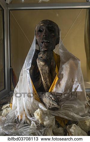 "Mummy of a monk from 15th century in a glas container at a temple, Giu village, Himachal Pradesh, India, Asia" View Large Photo Image Stock Image - "Mummy of a monk from 15th century in a glas container at a temple, Giu village, Himachal Pradesh, India, Asia". Fotosearch