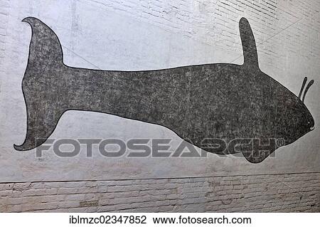 "Mural painting of a 7. 30 m killer whale which beached near Greifswald in 1545, inside St. Marienkirche church, Brueggstrasse street 35, Greifswald, Mecklenburg-Western Pomerania, Germany, Europe" View Large Photo Image Stock Image - "Mural painting of a 7. 30 m killer whale which beached near Greifswald in 1545, inside St. Marienkirche church, Brueggstrasse street 35, Greifswald, Mecklenburg-Western Pomerania, Germany, Europe". Fotosearch