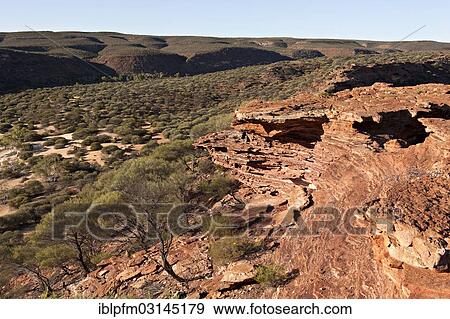 "Murchison Gorge, Kalbarri National Park, Western Australia, Australia, Oceania" View Large Photo Image Stock Photo - "Murchison Gorge, Kalbarri National Park, Western Australia, Australia, Oceania". Fotosearch
