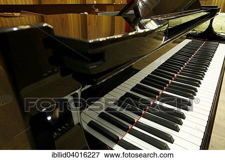 "Musical keyboard, grand piano Steinway & Sons" View Large Photo Image Stock Photo - "Musical keyboard, grand piano Steinway & Sons". Fotosearch