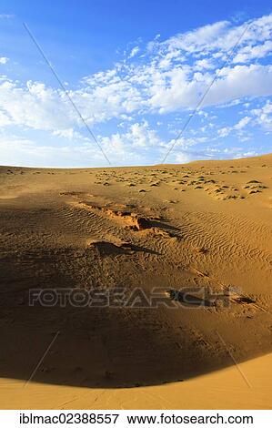 "Namib Desert, Namib-Naukluft National Park, Namibia, Africa" View Large Photo Image Stock Photo - "Namib Desert, Namib-Naukluft National Park, Namibia, Africa". Fotosearch