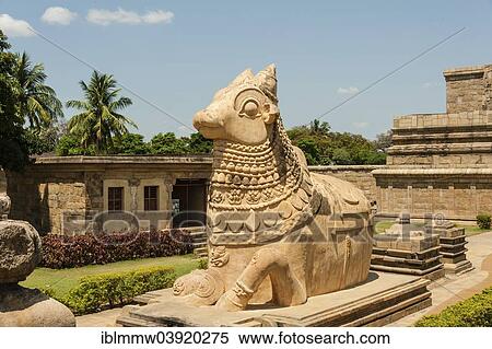 "Nandhi bull, Indian deity, Gangaikonda Cholapuram, Ariyalur, Tamil Nadu, India, Asia" View Large Photo Image Stock Photography - "Nandhi bull, Indian deity, Gangaikonda Cholapuram, Ariyalur, Tamil Nadu, India, Asia". Fotosearch