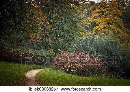 "Narrow path, Branitzer Park, Cottbus, Brandenburg, Germany, Europe" View Large Photo Image Stock Photo - "Narrow path, Branitzer Park, Cottbus, Brandenburg, Germany, Europe". Fotosearch
