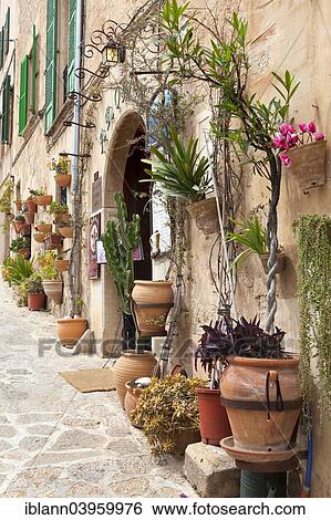 "Narrox street decorated with flowers, Valldemossa, Majorca, Balearic Islands, Spain, Europe" View Large Photo Image Stock Photograph - "Narrox street decorated with flowers, Valldemossa, Majorca, Balearic Islands, Spain, Europe". Fotosearch