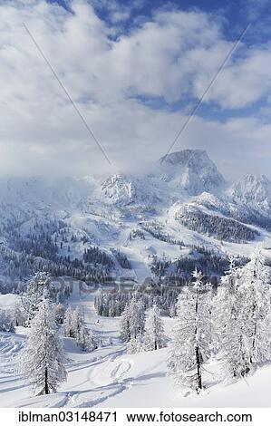 "Nassfeld skiing region with Mt Trogkofel, Nassfeld, Hermagor, Carinthia, Austria, Europe" View Large Photo Image Stock Image - "Nassfeld skiing region with Mt Trogkofel, Nassfeld, Hermagor, Carinthia, Austria, Europe". Fotosearch