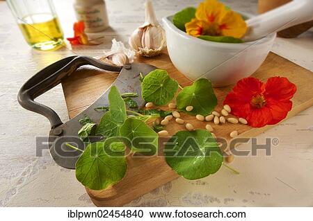Nasturtium leaves being prepared for a salad View Large Photo Image Stock Image - Nasturtium leaves being prepared for a salad. Fotosearch