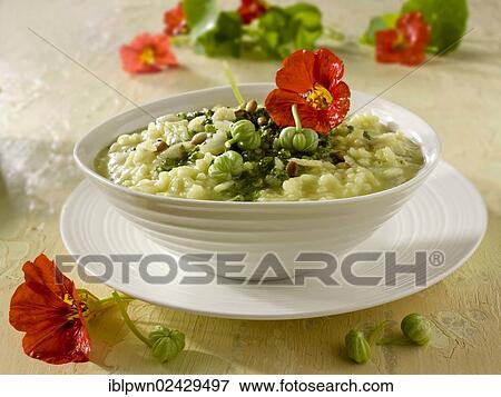 Nasturtium pesto risotto View Large Photo Image Stock Photo - Nasturtium pesto risotto. Fotosearch