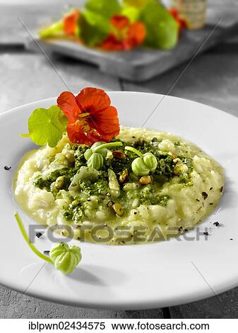 Nasturtium pesto risotto View Large Photo Image Stock Photography - Nasturtium pesto risotto. Fotosearch