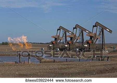 Picture - "Natural gas is flared off as oil is pumped in the Bakken shale formation; the gas is burned because no pipelines have been built to transport it to market, Watford City, North Dakota, United States, North America". Fotosearch