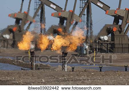"Natural gas is flared off as oil is pumped in the Bakken shale formation; the gas is burned because no pipelines have been built to transport it to market, Watford City, North Dakota, United States, North America" View Large Photo Image Stock Image - "Natural gas is flared off as oil is pumped in the Bakken shale formation; the gas is burned because no pipelines have been built to transport it to market, Watford City, North Dakota, United States, North America". Fotosearch