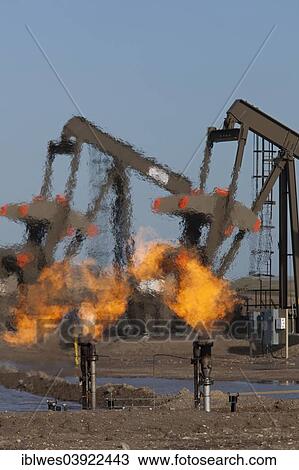 "Natural gas is flared off as oil is pumped in the Bakken shale formation; the gas is burned because no pipelines have been built to transport it to market, Watford City, North Dakota, United States, North America" View Large Photo Image Stock Image - "Natural gas is flared off as oil is pumped in the Bakken shale formation; the gas is burned because no pipelines have been built to transport it to market, Watford City, North Dakota, United States, North America". Fotosearch
