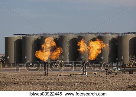 "Natural gas is flared off as oil is pumped in the Bakken shale formation; the gas is burned because no pipelines have been built to transport it to market, Watford City, North Dakota, United States, North America" View Large Photo Image Stock Photography - "Natural gas is flared off as oil is pumped in the Bakken shale formation; the gas is burned because no pipelines have been built to transport it to market, Watford City, North Dakota, United States, North America". Fotosearch