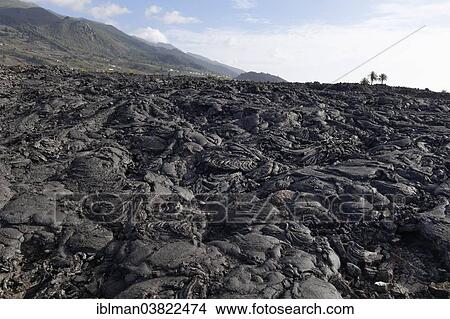 "Natural Monument Tubo Volcanico de Todoque in Las Mancha, lava flow from 1949, La Palma, Canary Islands, Spain, Europe" View Large Photo Image Picture - "Natural Monument Tubo Volcanico de Todoque in Las Mancha, lava flow from 1949, La Palma, Canary Islands, Spain, Europe". Fotosearch