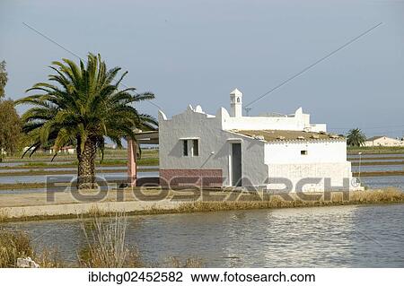 "Natural Park of the Ebro Delta, Tarragona Province, Catalonia, Spain, Europe" View Large Photo Image Stock Image - "Natural Park of the Ebro Delta, Tarragona Province, Catalonia, Spain, Europe". Fotosearch