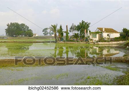 "Natural Park of the Ebro Delta, Tarragona Province, Catalonia, Spain, Europe" View Large Photo Image Stock Photograph - "Natural Park of the Ebro Delta, Tarragona Province, Catalonia, Spain, Europe". Fotosearch