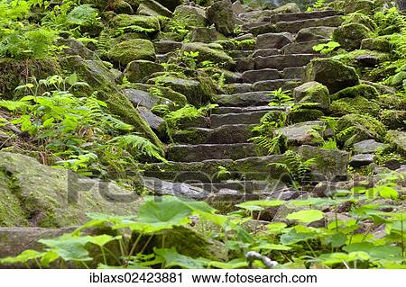 Stock Image - Natural stone staircase near Schapbach, in the Black Forest, Baden-Wuerttemberg, Germany, Europe. Fotosearch