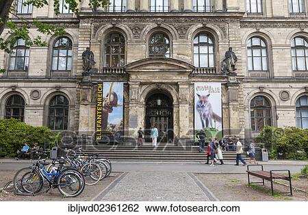 Stock Image - "Naturkundemuseum, natural history museum, Berlin, Germany, Europe". Fotosearch