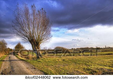 Stock Image - "Naturschutzgebiet Kirchwerder Wiesen nature reserve, Vier- und Marschlande area, Hamburg, Germany, Europe". Fotosearch