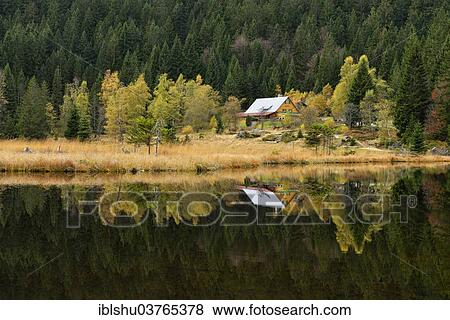 Stock Photo - "Naturschutzgebiet Kleiner Arbersee nature reserve with restaurant, in autumn, Bavarian Forest, Lohberg, Bavaria, Germany, Europe". Fotosearch