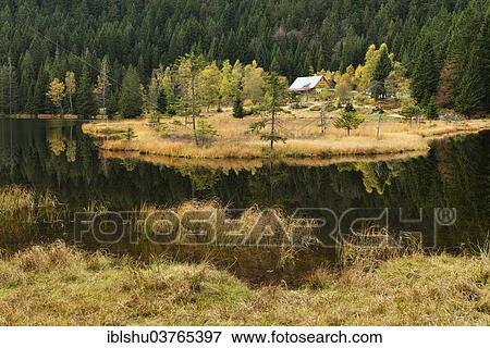 Stock Photo - "Naturschutzgebiet Kleiner Arbersee nature reserve with restaurant, in autumn, Bavarian Forest, Lohberg, Bavaria, Germany, Europe". Fotosearch