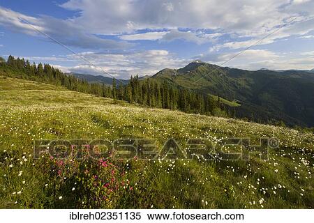 "Naunz in spring, Naunz, Kellerjoch, Tux Prealps, Tyrol, Austria, Europe" View Large Photo Image Stock Photography - "Naunz in spring, Naunz, Kellerjoch, Tux Prealps, Tyrol, Austria, Europe". Fotosearch
