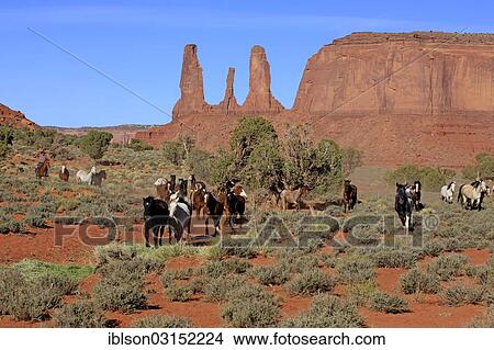"Navajo cowboy with Mustangs, Three Sisters rock formation, Utah, United States, North America" View Large Photo Image Picture - "Navajo cowboy with Mustangs, Three Sisters rock formation, Utah, United States, North America". Fotosearch