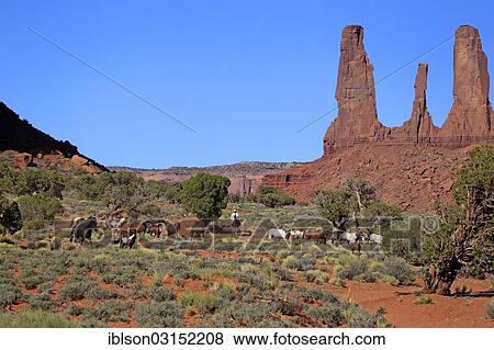 Stock Photo - "Navajo cowboy with Mustangs, Three Sisters rock formation, Utah, United States, North America". Fotosearch