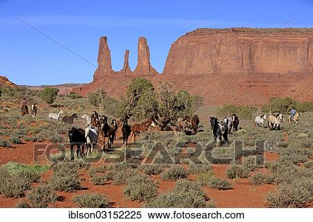 "Navajo cowboy with Mustangs, Three Sisters rock formation, Utah, United States, North America" View Large Photo Image Stock Photography - "Navajo cowboy with Mustangs, Three Sisters rock formation, Utah, United States, North America". Fotosearch