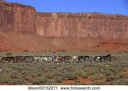 "Navajo cowboy with Mustangs, Utah, United States, North America" View Large Photo Image Stock Image - "Navajo cowboy with Mustangs, Utah, United States, North America". Fotosearch