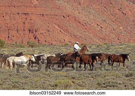 Stock Photo - "Navajo cowboy with Mustangs, Utah, United States, North America". Fotosearch