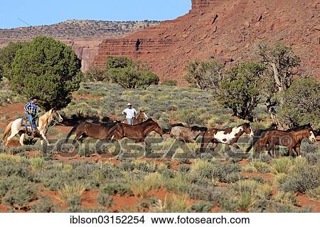 "Navajo cowboys with Mustangs, Utah, United States, North America" View Large Photo Image Picture - "Navajo cowboys with Mustangs, Utah, United States, North America". Fotosearch