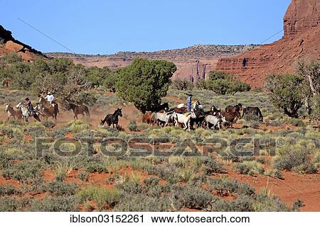 "Navajo cowboys with Mustangs, Utah, United States, North America" View Large Photo Image Stock Image - "Navajo cowboys with Mustangs, Utah, United States, North America". Fotosearch